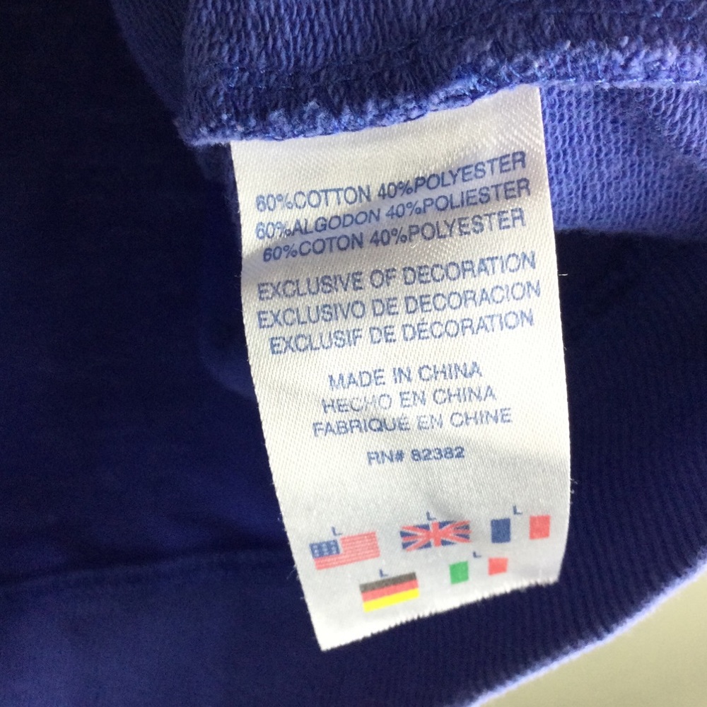 Champion French Terry Script Logo Raglan Sleeve Blue Hoodie Girl’s Size Large - Picture 10 of 11